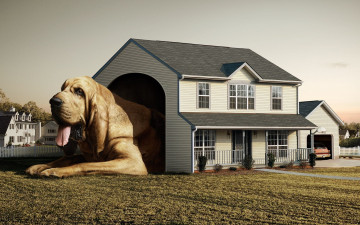 Картинка юмор приколы