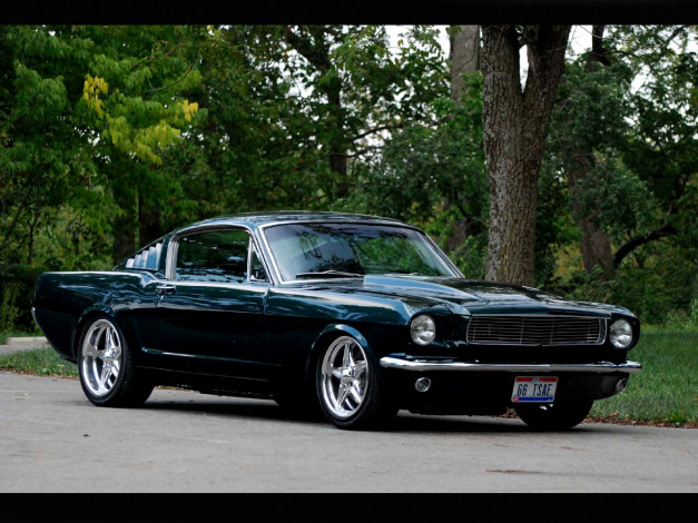 Обои картинки фото автомобили, mustang
