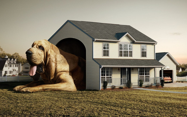 Обои картинки фото юмор, приколы