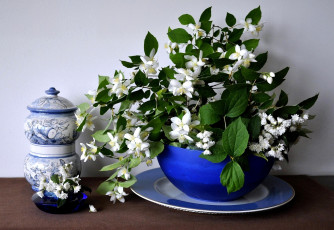 Картинка цветы жасмин ветки синий фарфор
