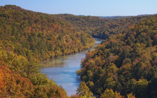 Обои картинки фото природа, реки, озера, лес, река