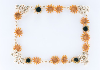 Картинка цветы разные вместе