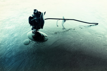 Картинка 3д графика flowers цветы лед цветок роза