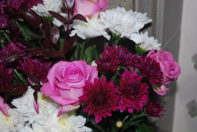 Обои картинки фото цветы, разные, вместе, букет, розы, герберы