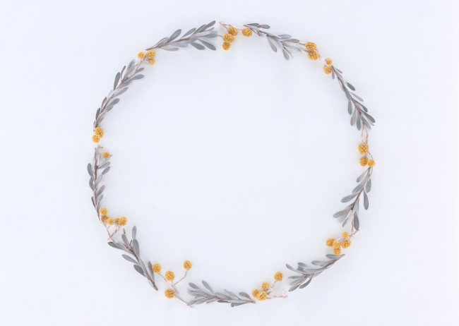 Обои картинки фото цветы, разные, вместе, бутоны