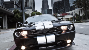 Картинка автомобили dodge challenger muscle car 392 срт8 srt8 челенжер мускул кар додж