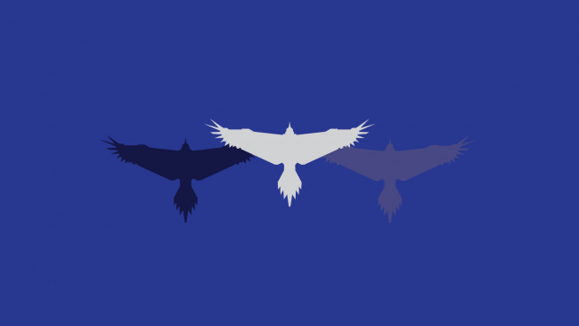 Обои картинки фото рисованные, минимализм, крылья