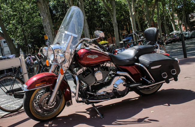 Обои картинки фото harley-davidson, мотоциклы, улица, байк