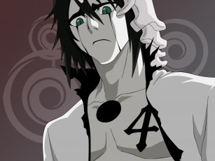 Картинка аниме bleach ulquiorra schiffer