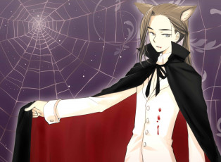 Картинка аниме tengen+toppa+gurren-lagann rossiu adai