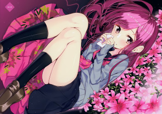 Картинка аниме unknown +другое sakuragi ren