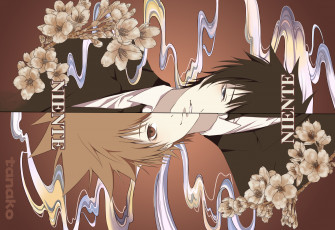 Картинка аниме katekyo+hitman+reborn sawada tsunayoshi hibari kyoya