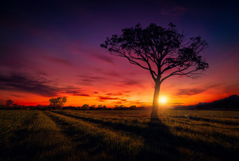 Картинка природа восходы закаты рассвет