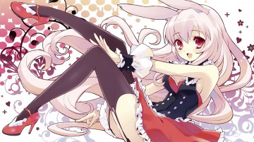 Картинка аниме mondaiji kurousagi