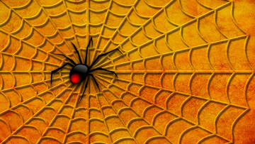 Картинка 3д+графика животные+ animals паук