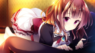 Картинка аниме golden+marriage ichijoji toko