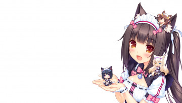 Картинка аниме nekopara фон девушка взгляд