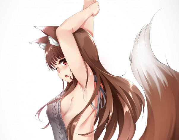 Обои картинки фото аниме, spice and wolf, holo