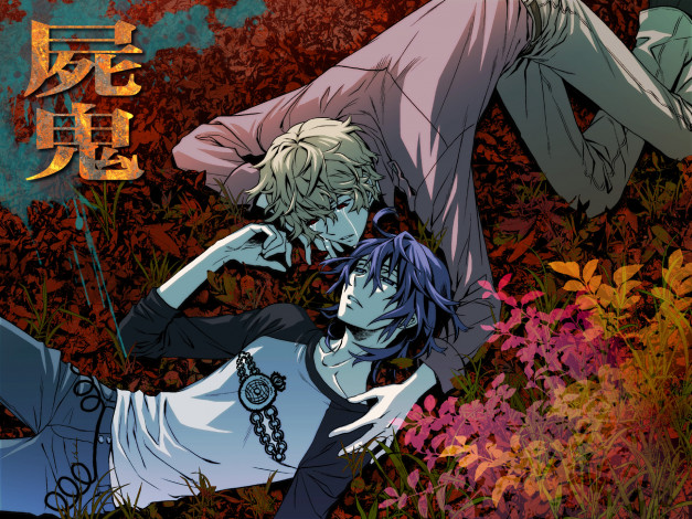 Обои картинки фото аниме, shiki, усопшие