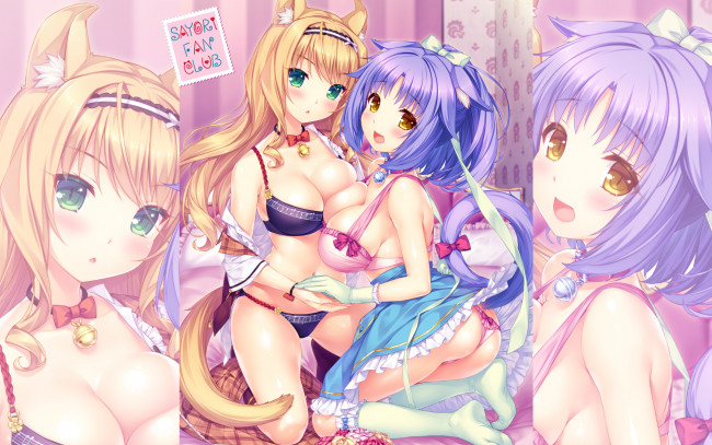 Обои картинки фото аниме, nekopara, sayori