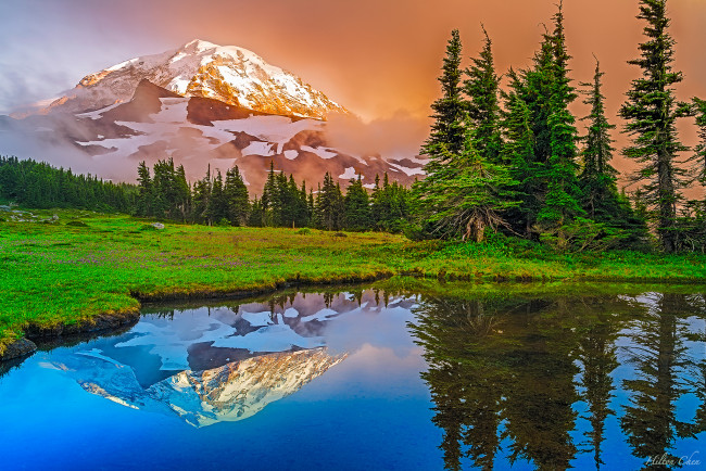 Обои картинки фото природа, реки, озера, река, лес