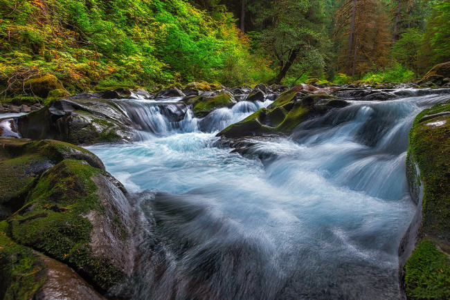 Обои картинки фото природа, водопады, водопад, река, лес