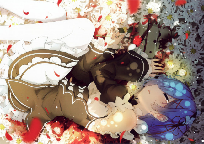 Обои картинки фото аниме, re,  zero kara hajimeru isekai seikatsu, rem