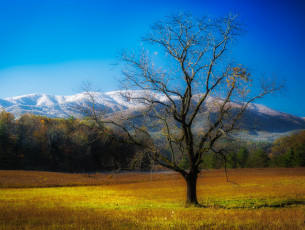 Картинка природа пейзажи простор