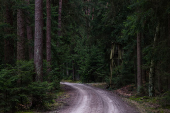 Картинка природа дороги простор