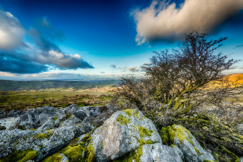 Картинка природа пейзажи простор