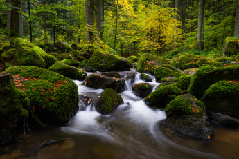 Картинка природа реки озера простор