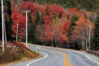 Картинка природа дороги простор