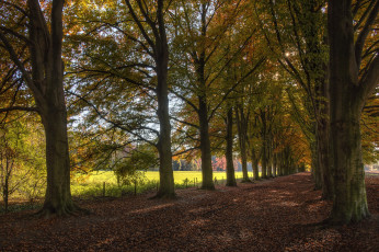 Картинка природа дороги простор