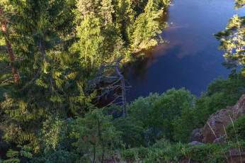 Картинка природа побережье простор