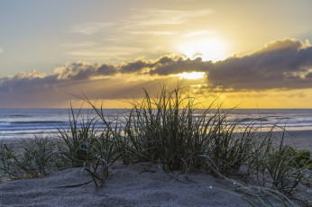 Картинка природа побережье простор