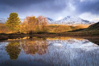 Картинка природа реки озера простор