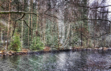 Картинка природа реки озера простор