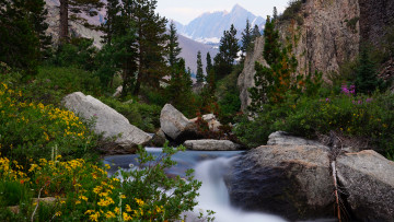 Картинка природа реки озера простор