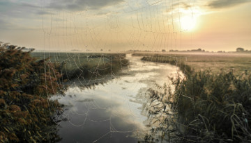 Картинка природа реки озера простор