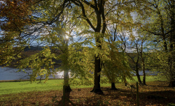 Картинка природа пейзажи простор