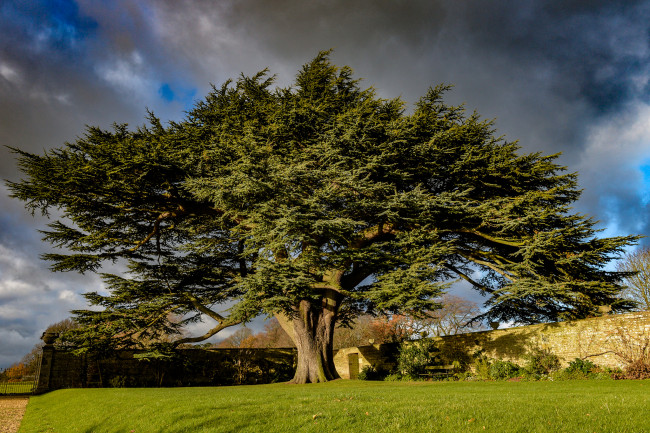 Обои картинки фото природа, дороги, простор