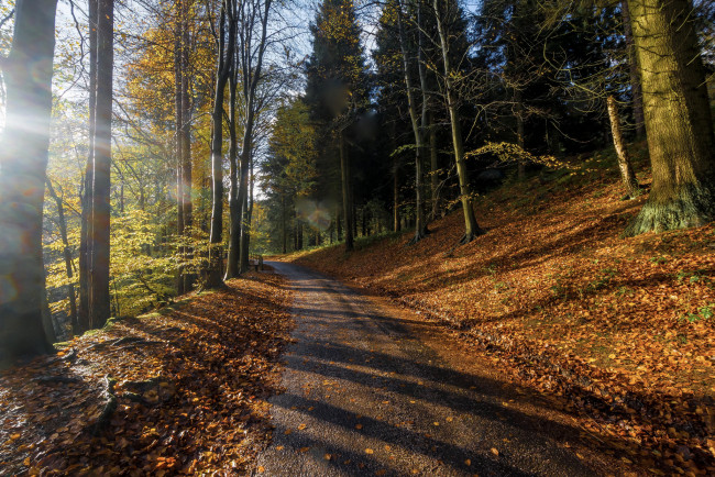 Обои картинки фото природа, дороги, простор