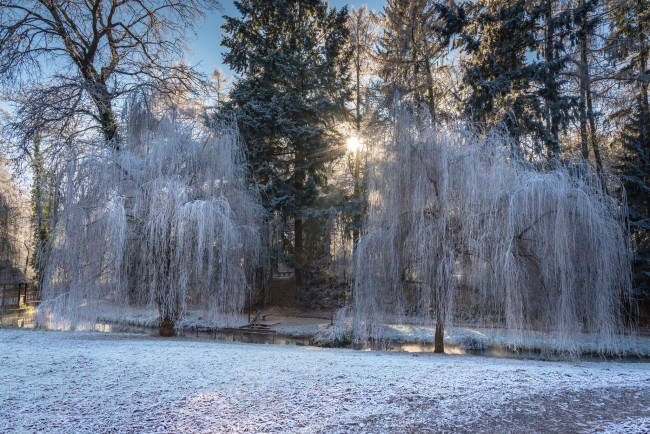 Обои картинки фото природа, зима, простор