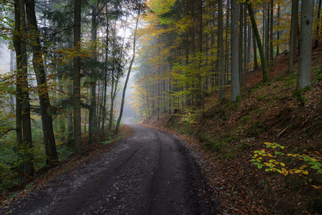 Обои картинки фото природа, дороги, простор