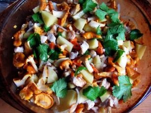 Картинка еда грибы +грибные+блюда лисички