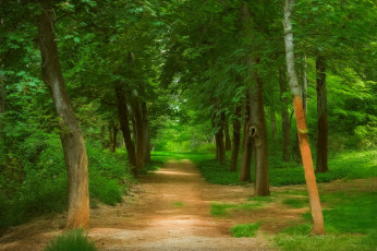 Картинка природа дороги простор