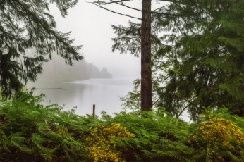 Картинка природа реки озера простор