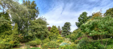 Картинка природа лес простор