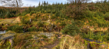 Картинка природа пейзажи простор