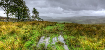 Картинка природа пейзажи простор